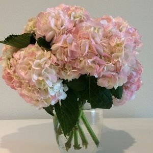 Meet your Posher, Marr